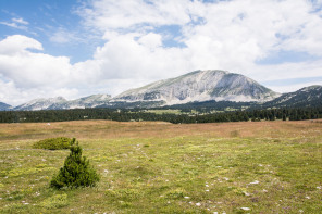 Trek autour des Hauts Plateaux – Entre le pas des Chattons et la Grande Cabane Trek autour des Hauts Plateaux – Entre le pas des Chattons et la Grande Cabane