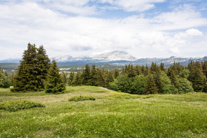 Trek autour des Hauts Plateaux – GR91 puis GR93 jusqu'au chalet des Ours Trek autour des Hauts Plateaux – GR91 puis GR93 jusqu'au chalet des Ours