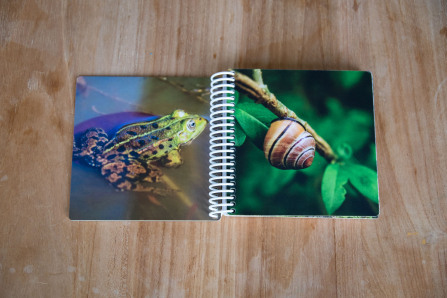 Livre photo pour tout-petits Cewe Livre photo pour tout-petits Cewe