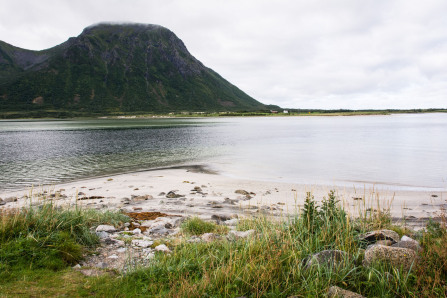 Morfjord Morfjord
