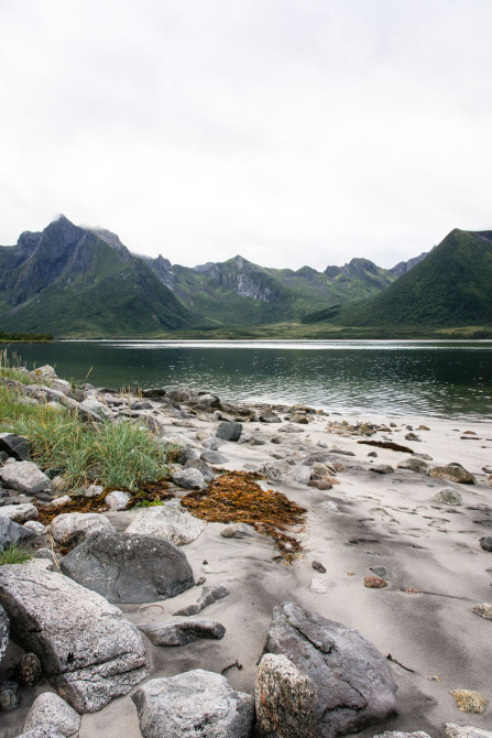 Morfjord Morfjord