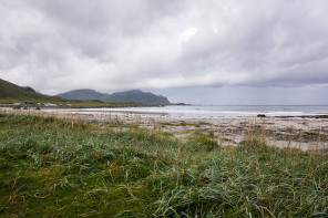 Skagen camping