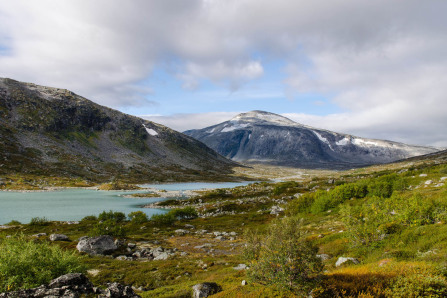 Ancienne Strynefjell Ancienne Strynefjell