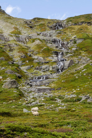 Route 50 entre Hol et Aurlandsfjord Route 50 entre Hol et Aurlandsfjord