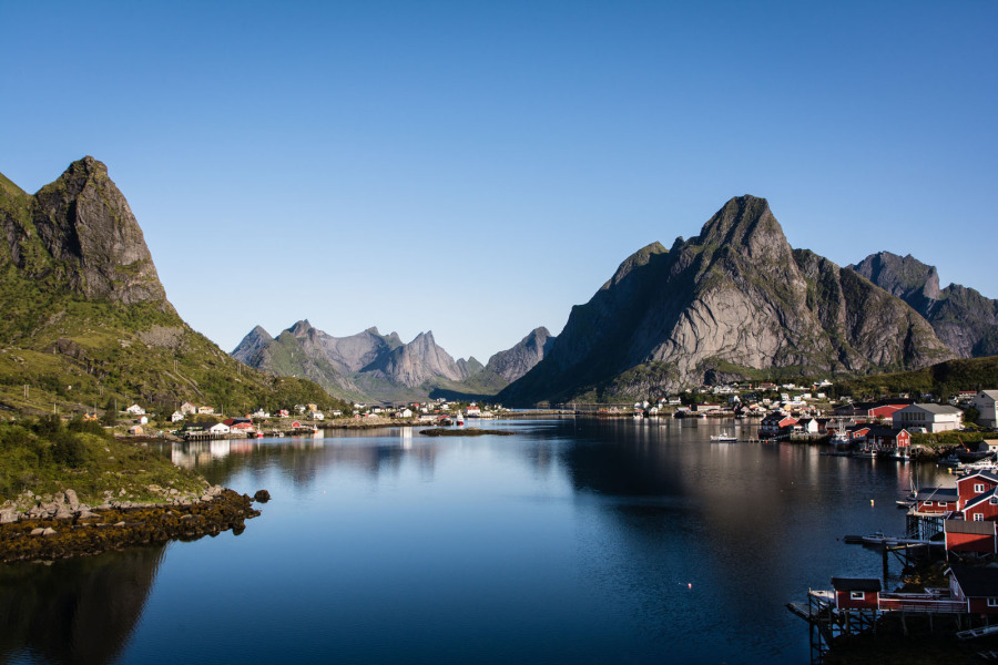 Reine Reine