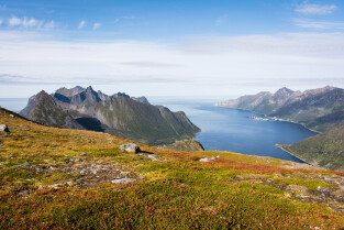 Senja