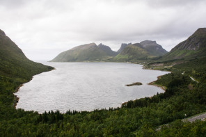 Bergsfjord