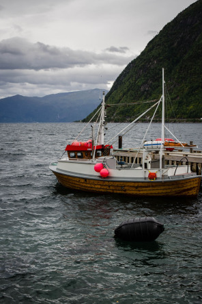 Vue du Sognefjord depuis Vik Vue du Sognefjord depuis Vik