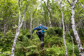 Randonnée de Håtinden – Première partie dans les bois Randonnée de Håtinden – Première partie dans les bois