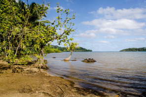 Pension Tupuna – Vue sur la baie de Bourayne Pension Tupuna – Vue sur la baie de Bourayne