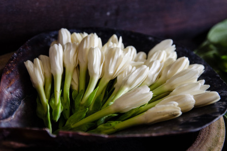 Fleurs de tiare Fleurs de tiare