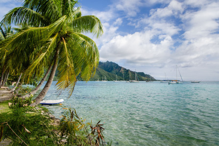Plage d'Opunohu Plage d'Opunohu