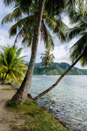 Plage d'Opunohu Plage d'Opunohu