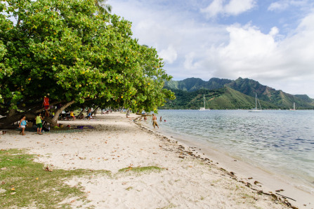 Plage d'Opunohu Plage d'Opunohu