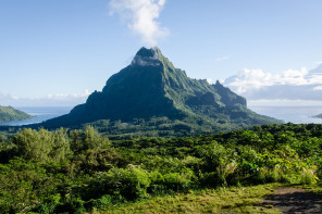 Belvédère de Moorea Belvédère de Moorea