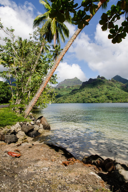 Baie de Cook Baie de Cook