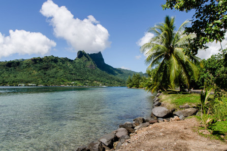 Baie de Cook Baie de Cook