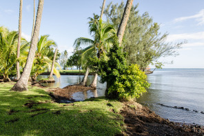 Jardin botanique de Tahiti Jardin botanique de Tahiti