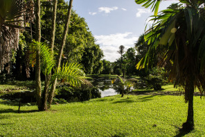 Jardin botanique de Tahiti Jardin botanique de Tahiti