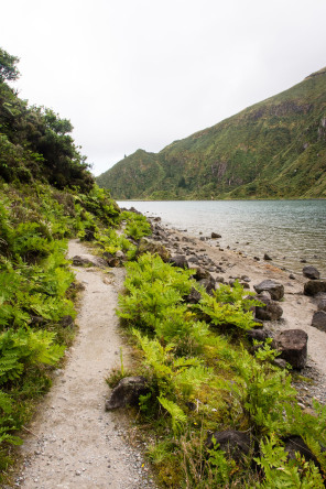 Descente au bord du lagoa do Fogo Descente au bord du lagoa do Fogo