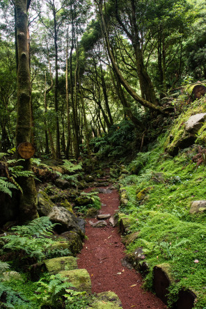 Parc Grená Parc Grená