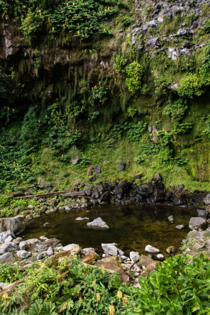 Parc Grená Parc Grená