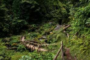 Parc Grená Parc Grená