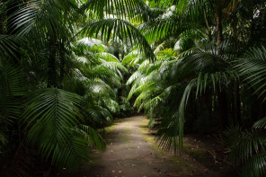 Parc Terra Nostra Parc Terra Nostra