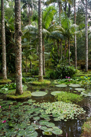 Parc Terra Nostra Parc Terra Nostra