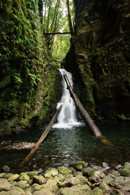 Randonnée de ribeira do Faial da Terra – Salto do Cagarrão Randonnée de ribeira do Faial da Terra – Salto do Cagarrão