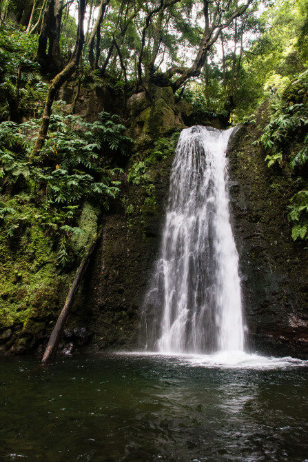 Randonnée de ribeira do Faial da Terra – Salto do Prego Randonnée de ribeira do Faial da Terra – Salto do Prego