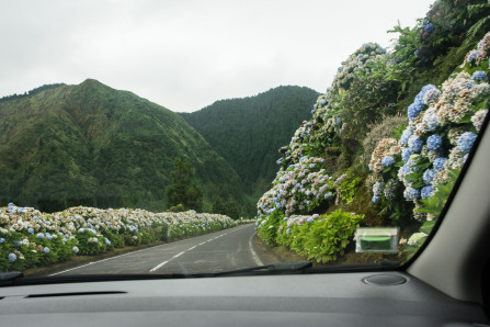 Sur les routes de Sete Cidades Sur les routes de Sete Cidades