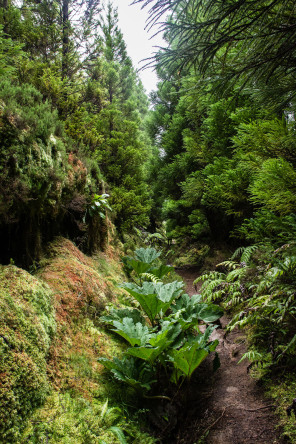 Randonnée de la serra Devassa Randonnée de la serra Devassa