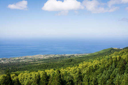 Vue du toit du Monte Palace Vue du toit du Monte Palace